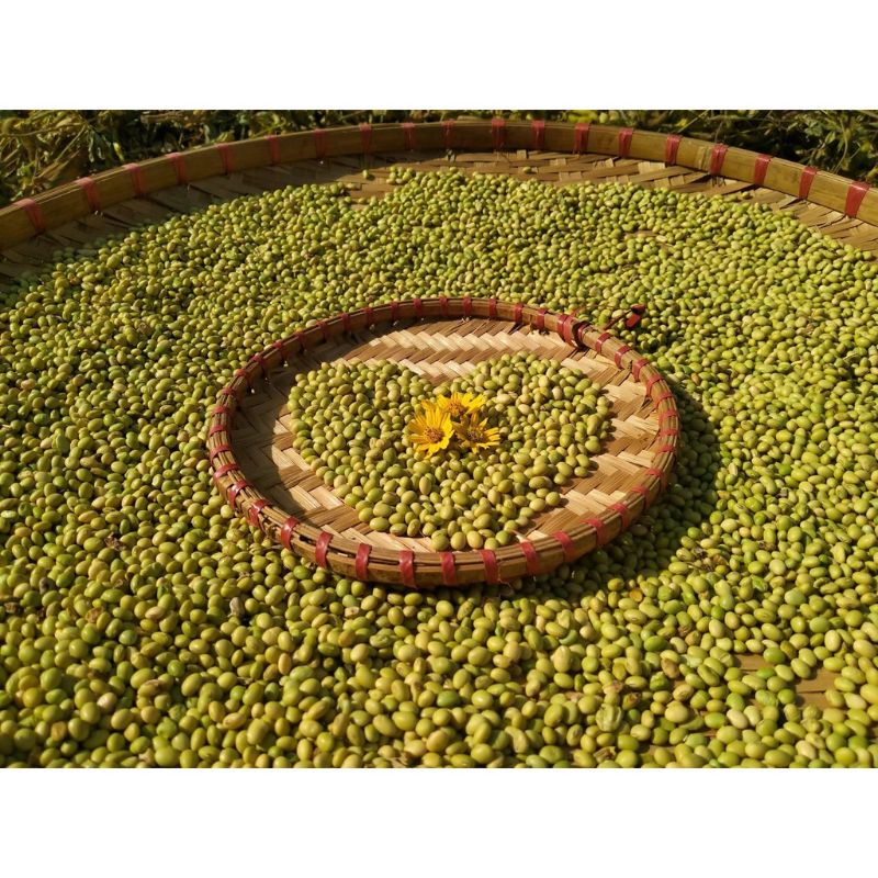 Tương bần Tuệ Viên _ nguyên liệu hữu cơ _ lên men truyền thống trong chum sành