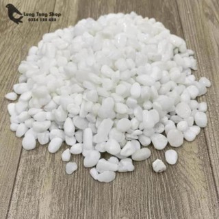 [ Nhiều size ] Đá sỏi trắng trang trí ( chọn size )