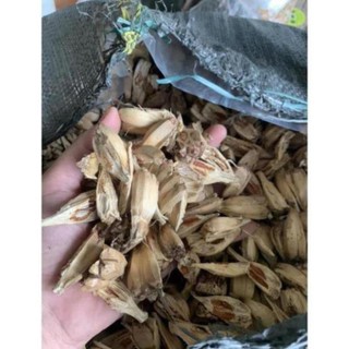 Quả dứa dại -dứa rừng khô