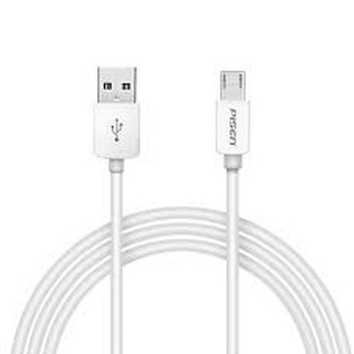 Cáp sạc Micro USB Pisen Moto-2A 1m (white)