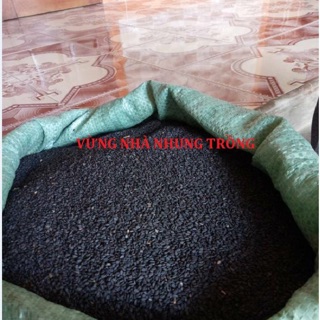 Hạt vừng đen (nhà tự trồng ở Nghệ An)