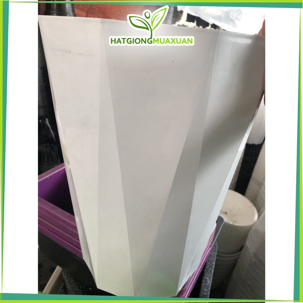 Combo 10 chậu kim cương đường kính 30 cao 40cm