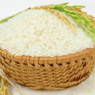 Gạo Nàng Hương - Gạo Đặc Sản Việt Nam
