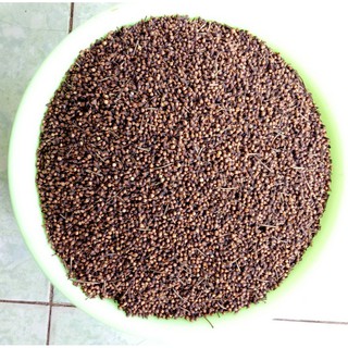 Nụ Vối Nam Định 500gr