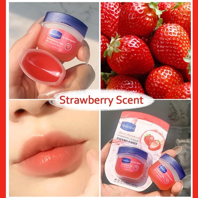 Son Dưỡng Môi Vancilin Chiết Xuất Trái Cây Tự Nhiên Dưỡng Ẩm Chống Nếp Nhăn