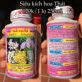 KÍCH HOA THÁI LAN