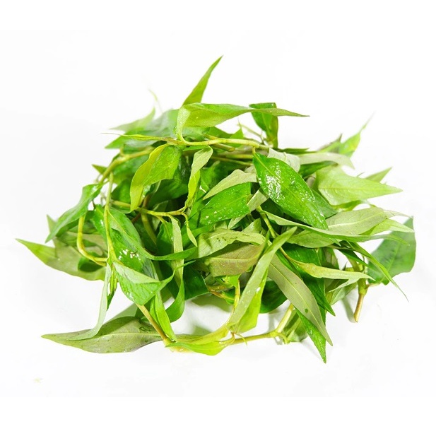 [HCM] Rau nêm, Rau gia vị, Giá sống, Rau thơm các loại NTFood 1kg / 500g / 200g - Nhất Tín Food