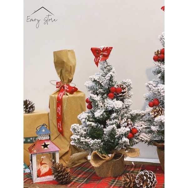CÂY THÔNG TUYẾT MINI/ CÂY THÔNG NOEL