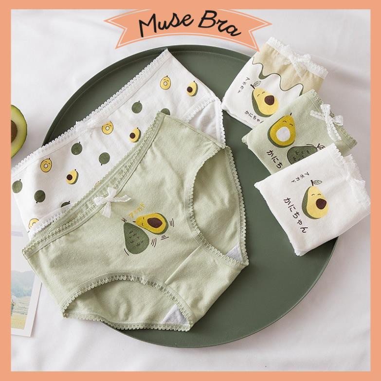 [Giá sỉ] QUẦN LÓT COTTON HỌA TIẾT TRÁI BƠ DỄ THƯƠNG