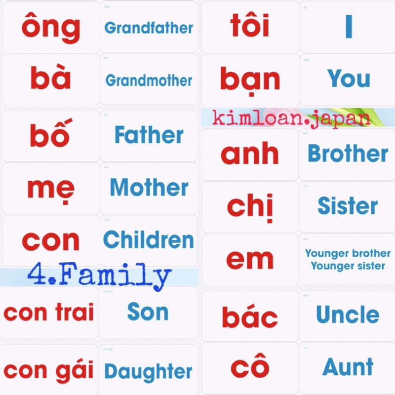 Flashcard glenn doman thẻ chữ song ngữ chuẩn Ivory 350 BABY EDUCATION