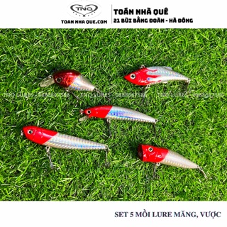 Bộ mồi câu lure măng, vược set 5 con  TNQ LURES - TOÁN NHÀ QUÊ