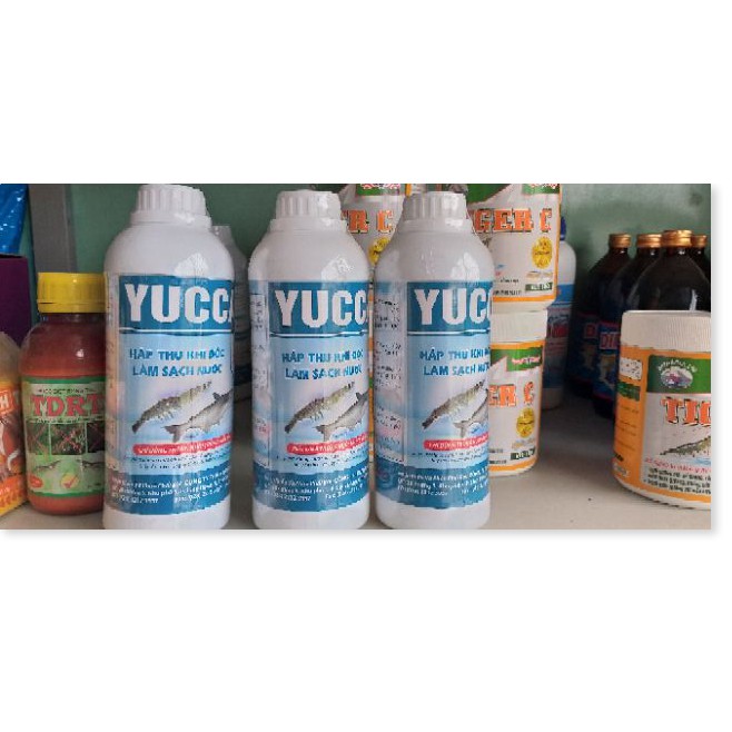 (Thuốc Thủy Sản) YUCCA- hấp thu khí độc làm sạch nước ao nuôi trồng thủy sản