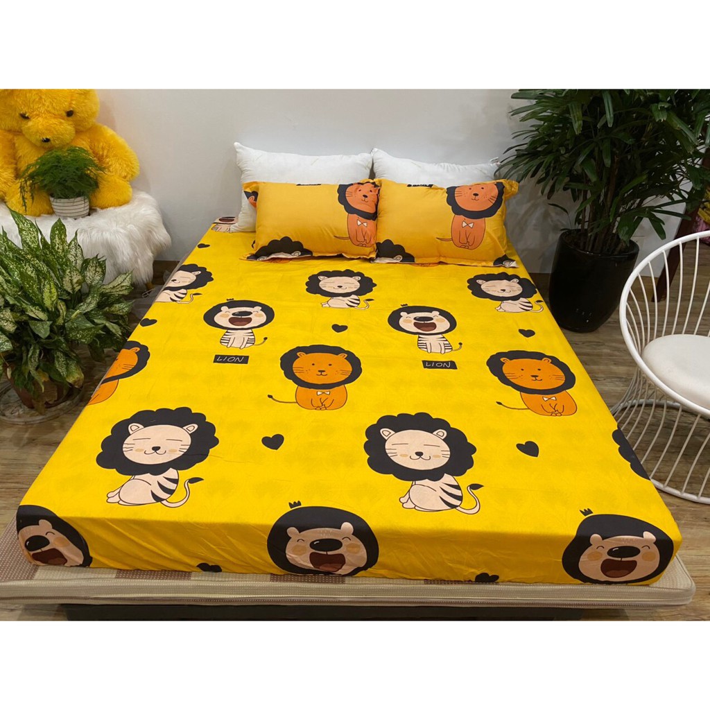 Bộ chăn phao ga gối poly cotton MẪU -hổ vàng