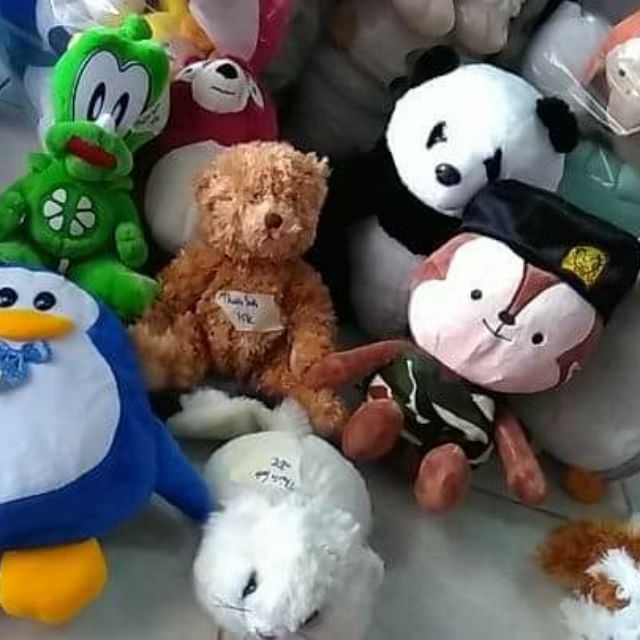 Gấu bông thiên sơn