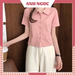 Áo thun nữ cúc cài cộc tay, áo polo nữ tay ngắn cổ bẻ chất thun borip
