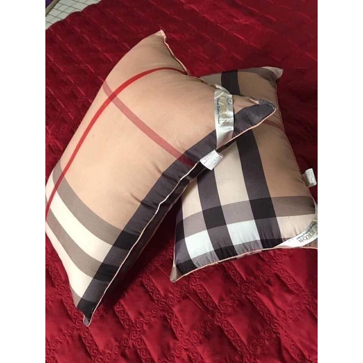 Bộ 2 Ruột Gối Hơi Cao Cấp Kích Thước 45 x 65cm Có Khóa Kéo