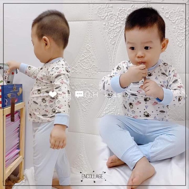 Bộ dài tay chất cotton thun lạnh Avaler