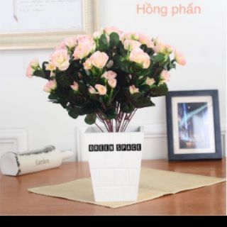 Hoa Giả - Cây Đỗ Quyên Các Màu