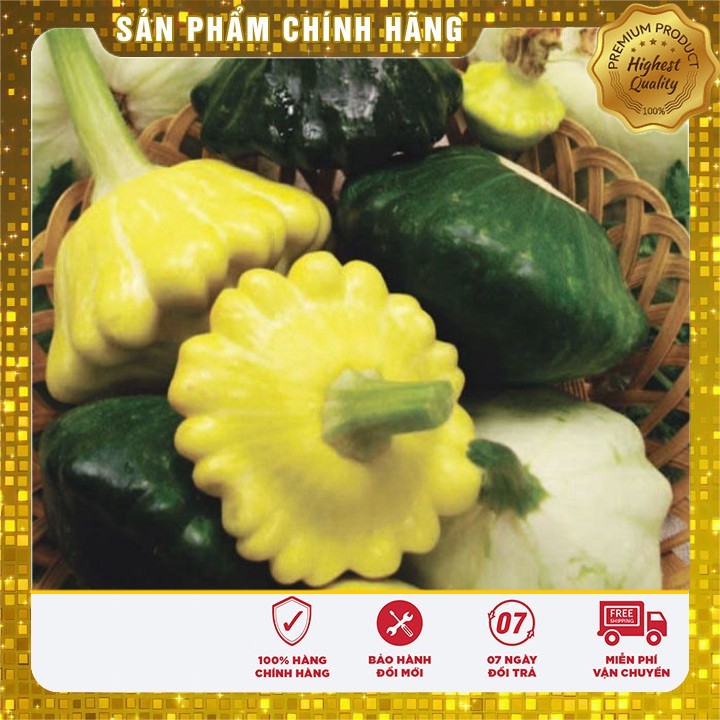 Bộ gói hạt giống Bí đĩa bay