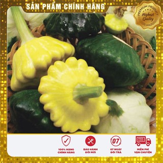 Bộ gói hạt giống Bí đĩa bay