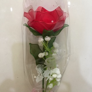 Hoa hồng tặng thầy cô