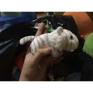 Gấu của C Nghiêm Linh