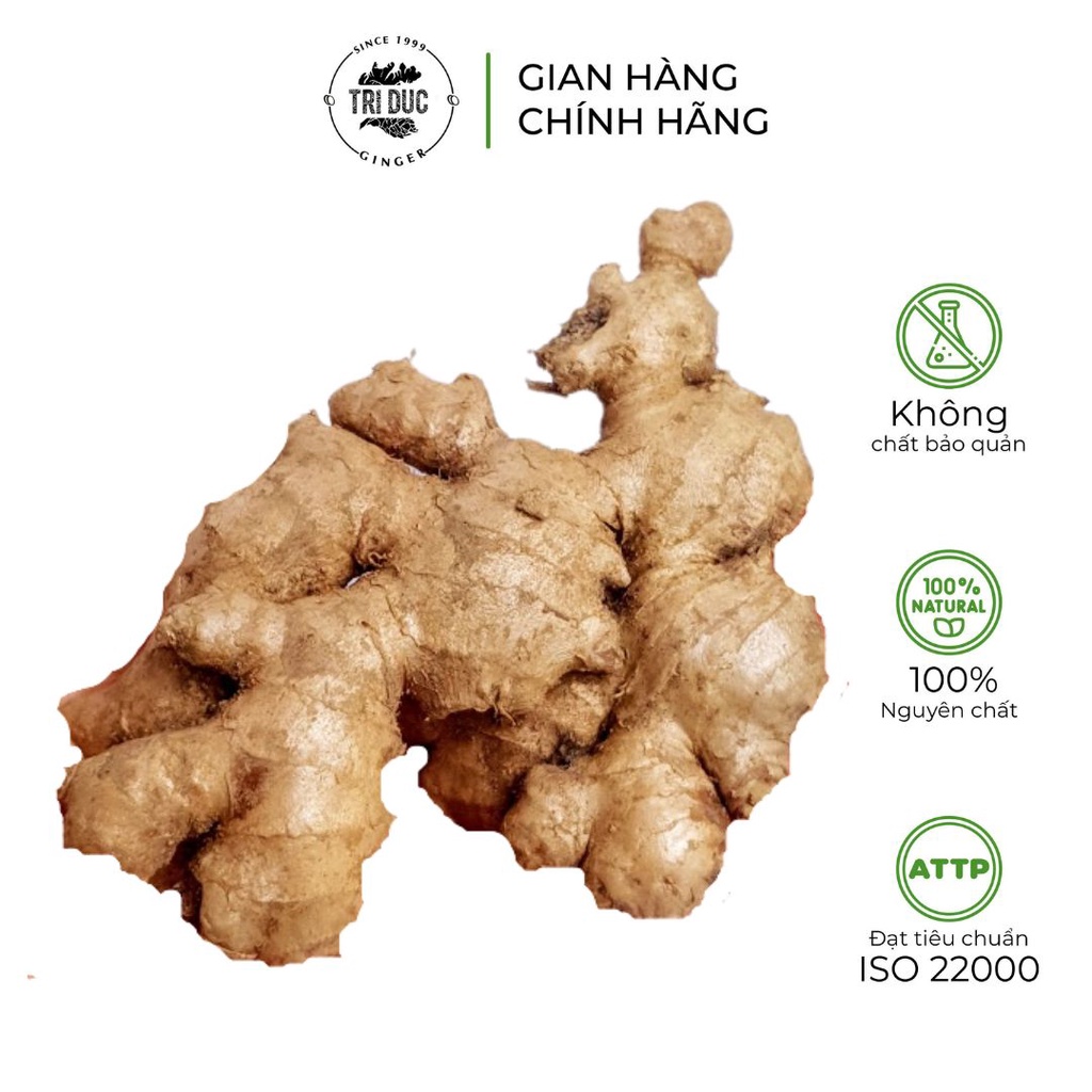 Gừng tươi Trí Đức bổ dưỡng, có lợi cho sức khỏe - Túi 0,5kg
