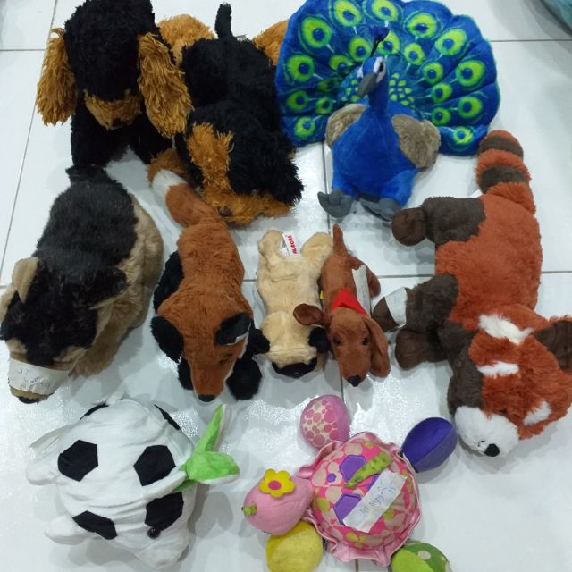 Gấu bông jo nguyen