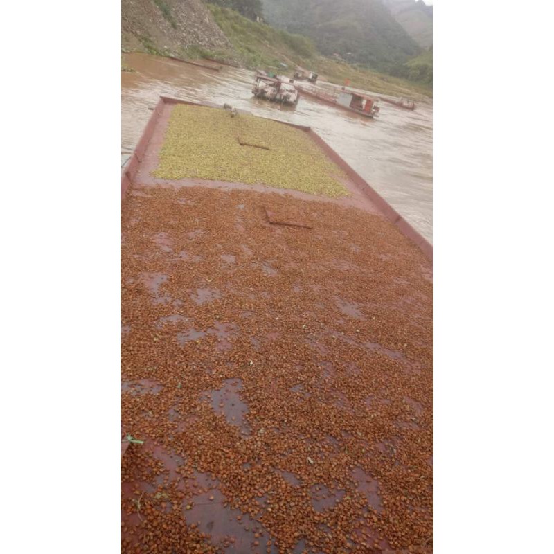 Táo Mèo khô 1kg | BigBuy360 - bigbuy360.vn