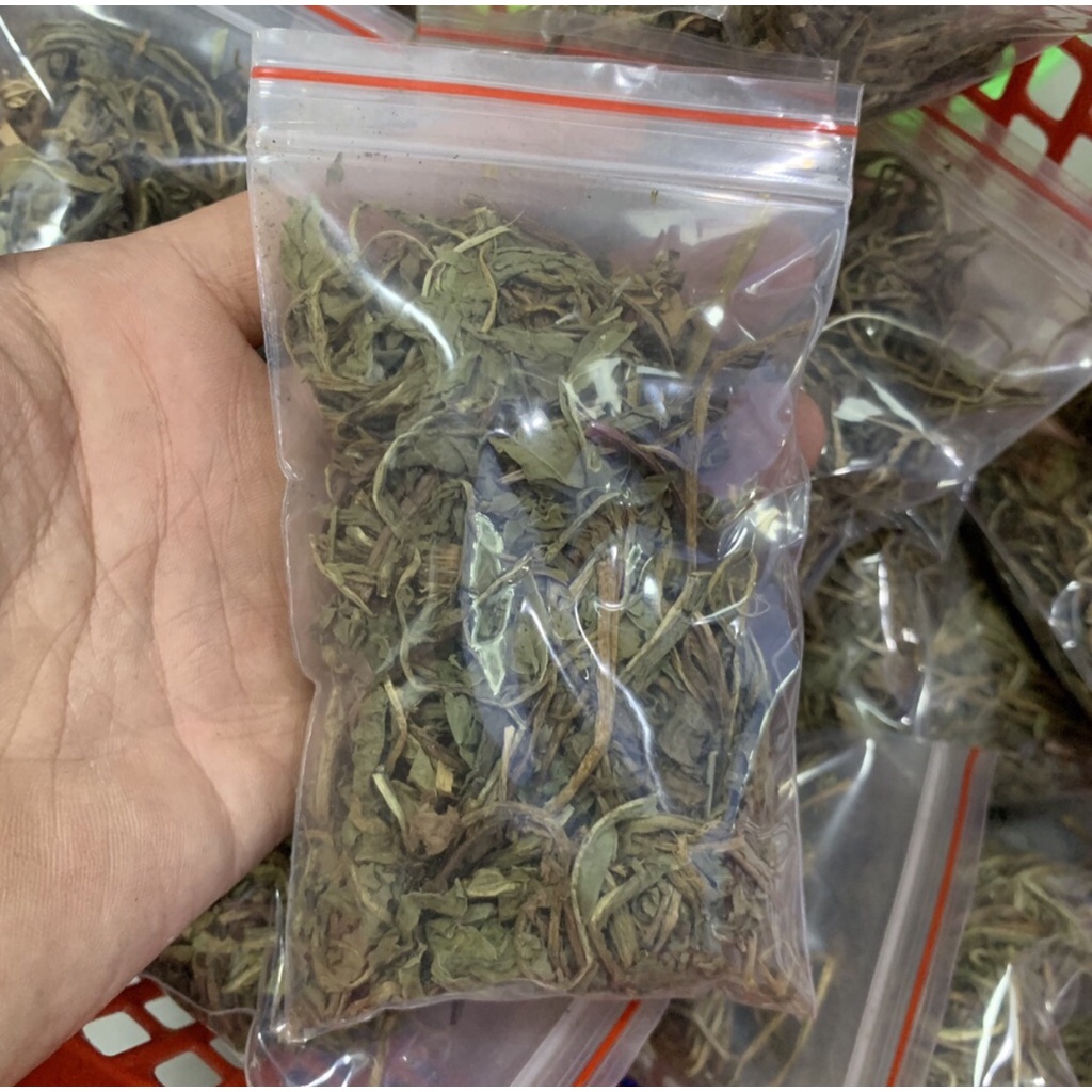 Trà bồ công anh 10gram Quy Nguyên