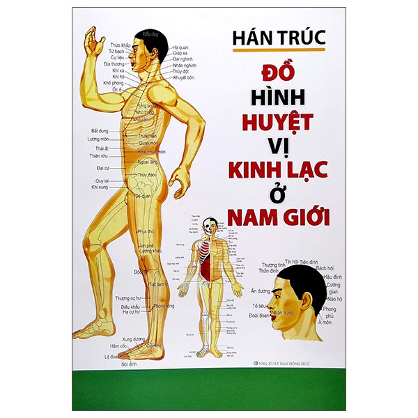 Sách Đồ Hình Huyệt Vị Kinh Lạc Ở Nam Giới