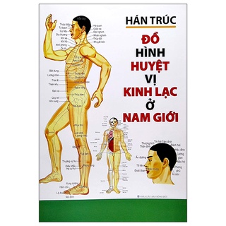 Sách đồ hình huyệt vị kinh lạc ở nam giới