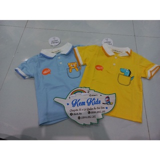 Áo pull có cổ vải cotton dệt 100%