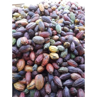 Bột cacao nguyên chất 500g