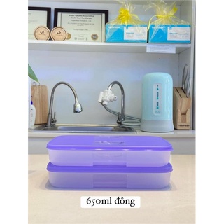 Hộp trữ đông freezermate 650ml dẹt - nắp tím