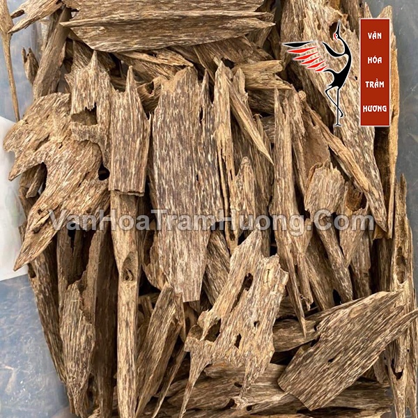Trầm Hương Miếng Tự Nhiên Khai Thác Từ Ổ Kiến