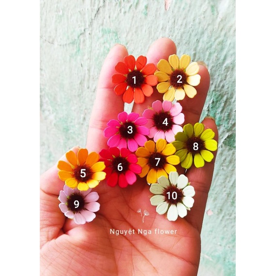 Túi 100 bông cúc tana nhí trang trí bánh sinh nhật, làm hoa điểm