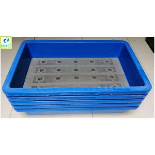 5 KHAY NHỰA TRỒNG RAU KÍCH THƯỚC 68X42X15CM - MÀU XANH