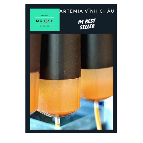 Trứng artemia Vĩnh châu -Thức ăn cá vàng, cá chép , betta, guppy - Nuôi sinh khối hiệu quả - Mr Fish