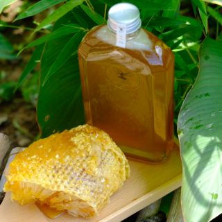 Mật Ong Rừng Tây Nguyên Farm Ơ - Chai Thủy Tinh 350ml