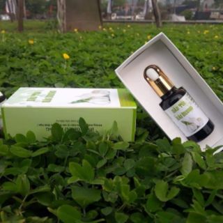 DẦU TỎI HẢI DƯƠNG