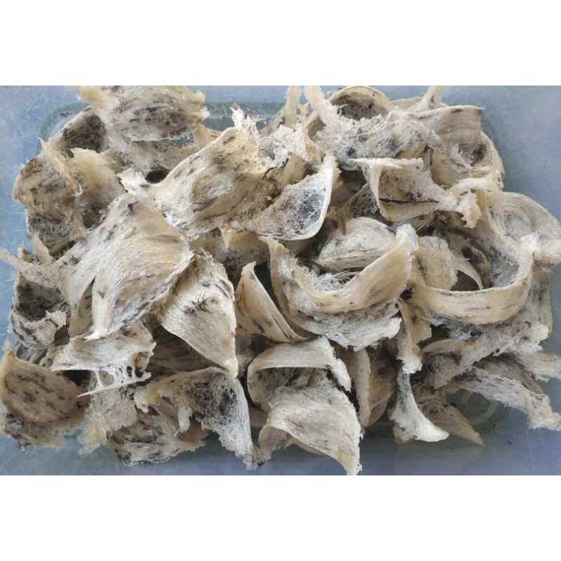 Tổ yến thô yến sào còn lông Cần Giờ nguyên tổ | BigBuy360 - bigbuy360.vn