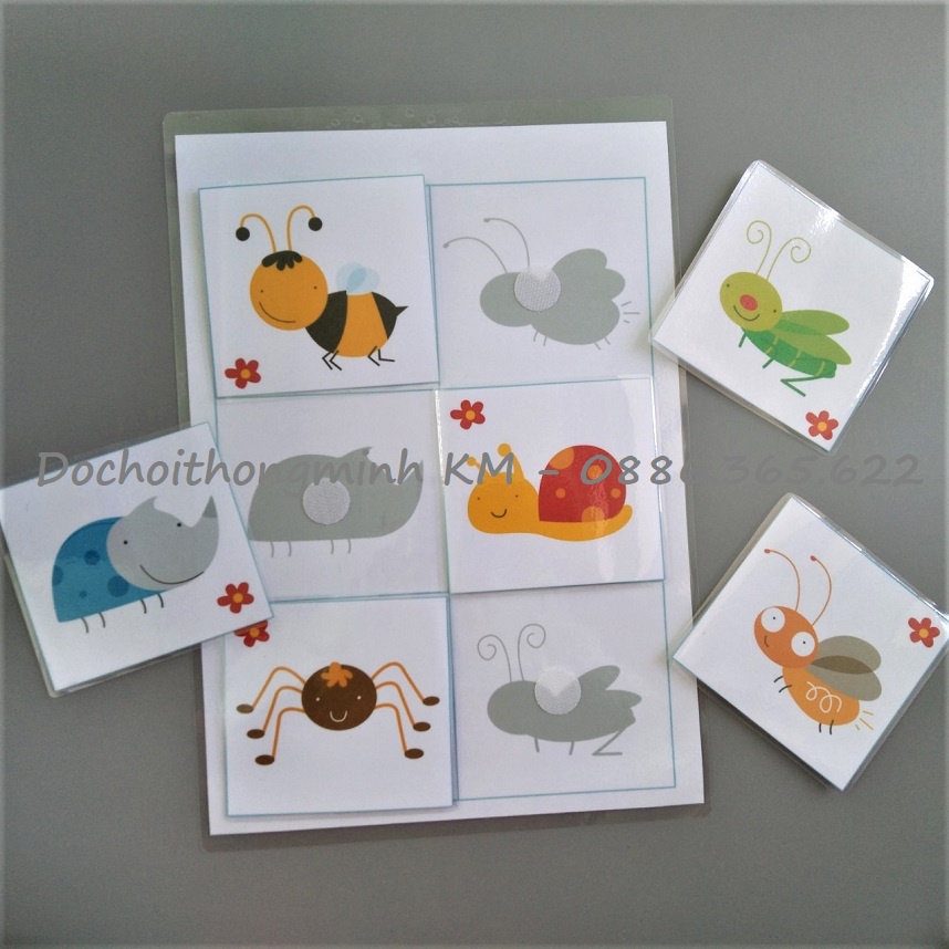 HỌC LIỆU - Matching tìm hình bóng - Tìm bóng côn trùng