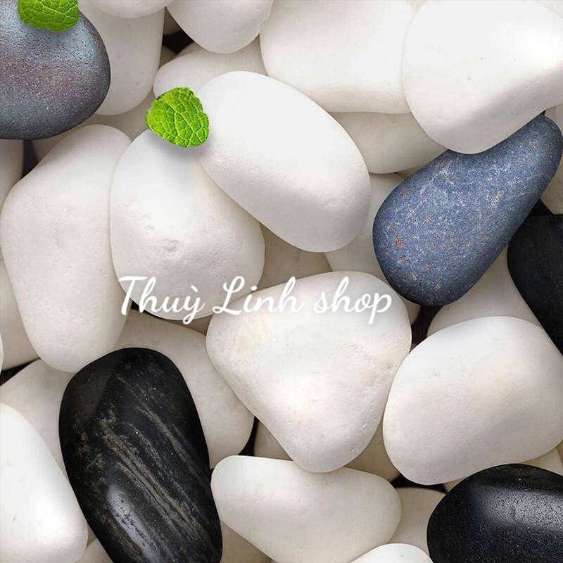 Sỏi trắng, trang trí bể cá, chậu cảnh, tiểu cảnh sân vườn -1kg