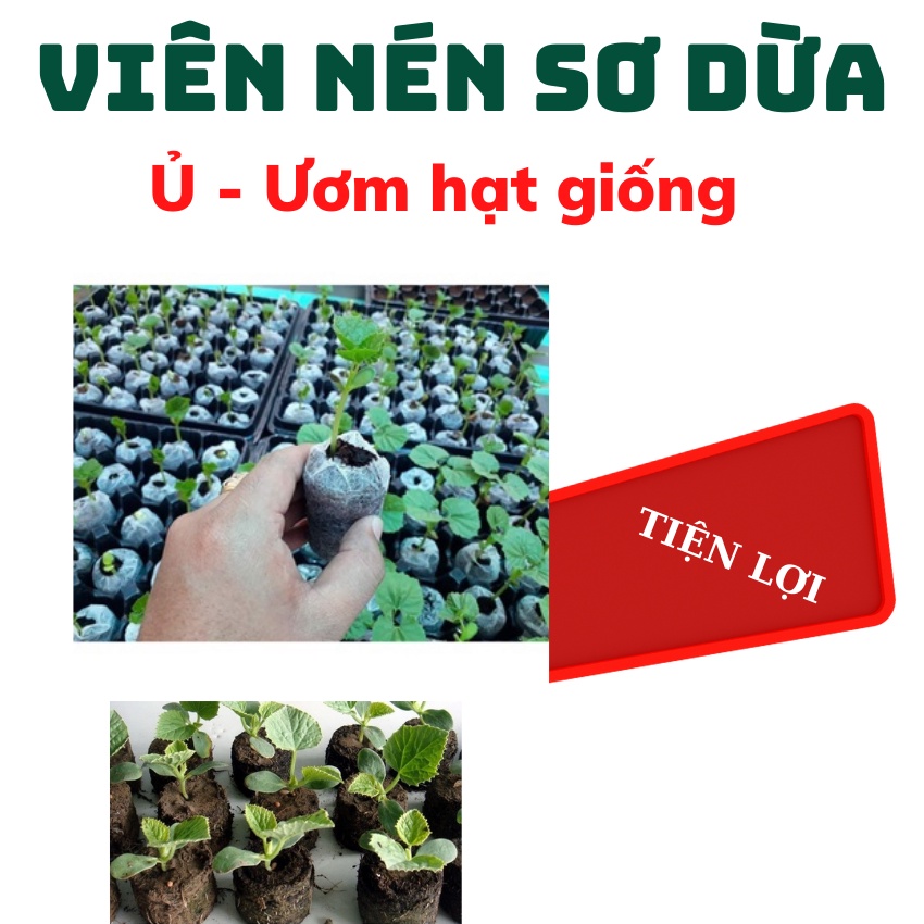 Viên Nén Xơ Dừa, Viên Ươm Hạt Kích Mầm Bằng Xơ Dừa