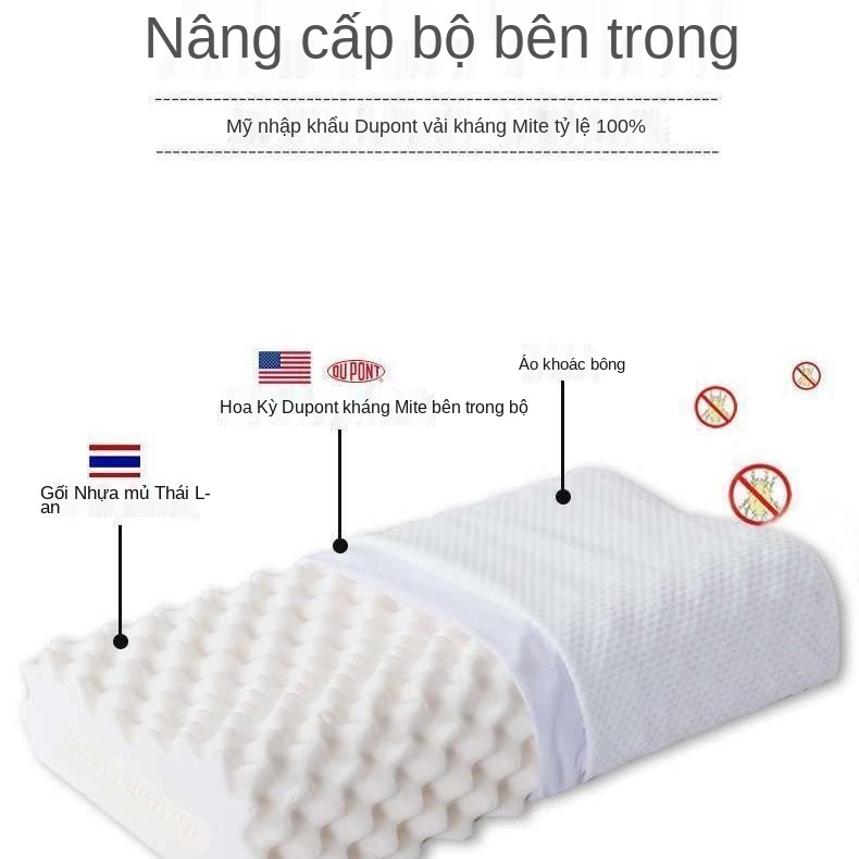 AGối cao su thiên nhiên thái lan, đôi lõi dây, nhớ, đơn gia dụng bảo vệ cột sống cổ, thấp, đỡ giấc ngủ