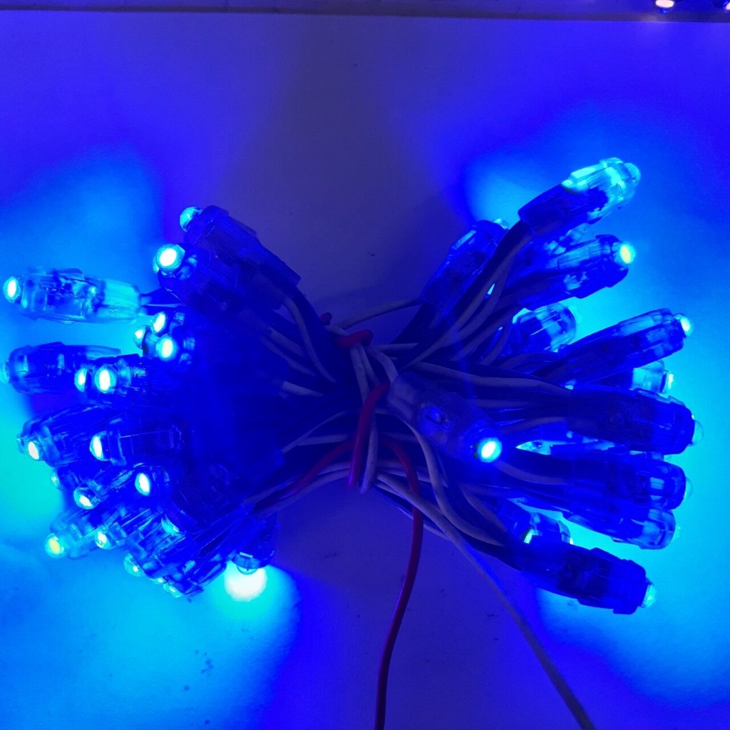 LED ĐÚC 5LY 5VDC MÀU DƯƠNG