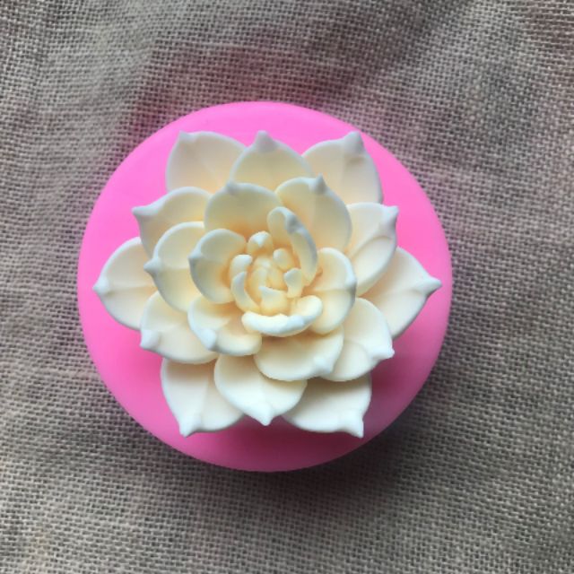 Khuôn silicon 4D Sen đá 10cm