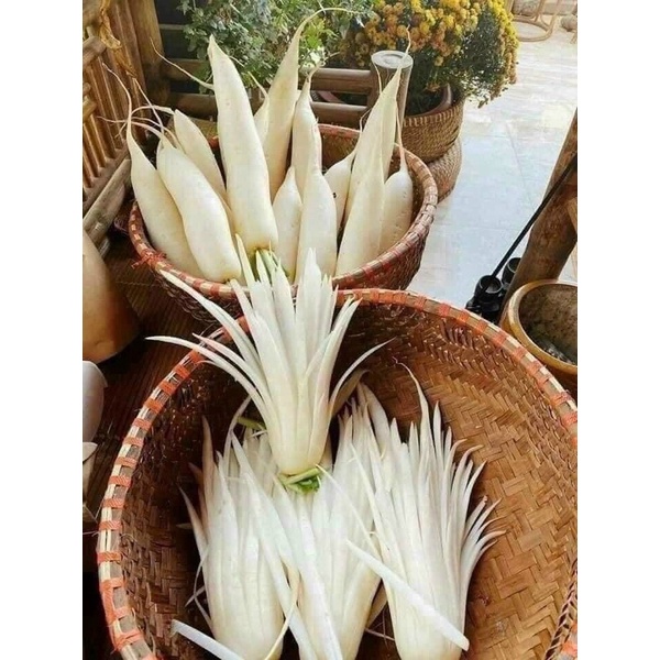 Củ Cải Khô [ Chế Biến 77,49 món siêu ngon luôn ]