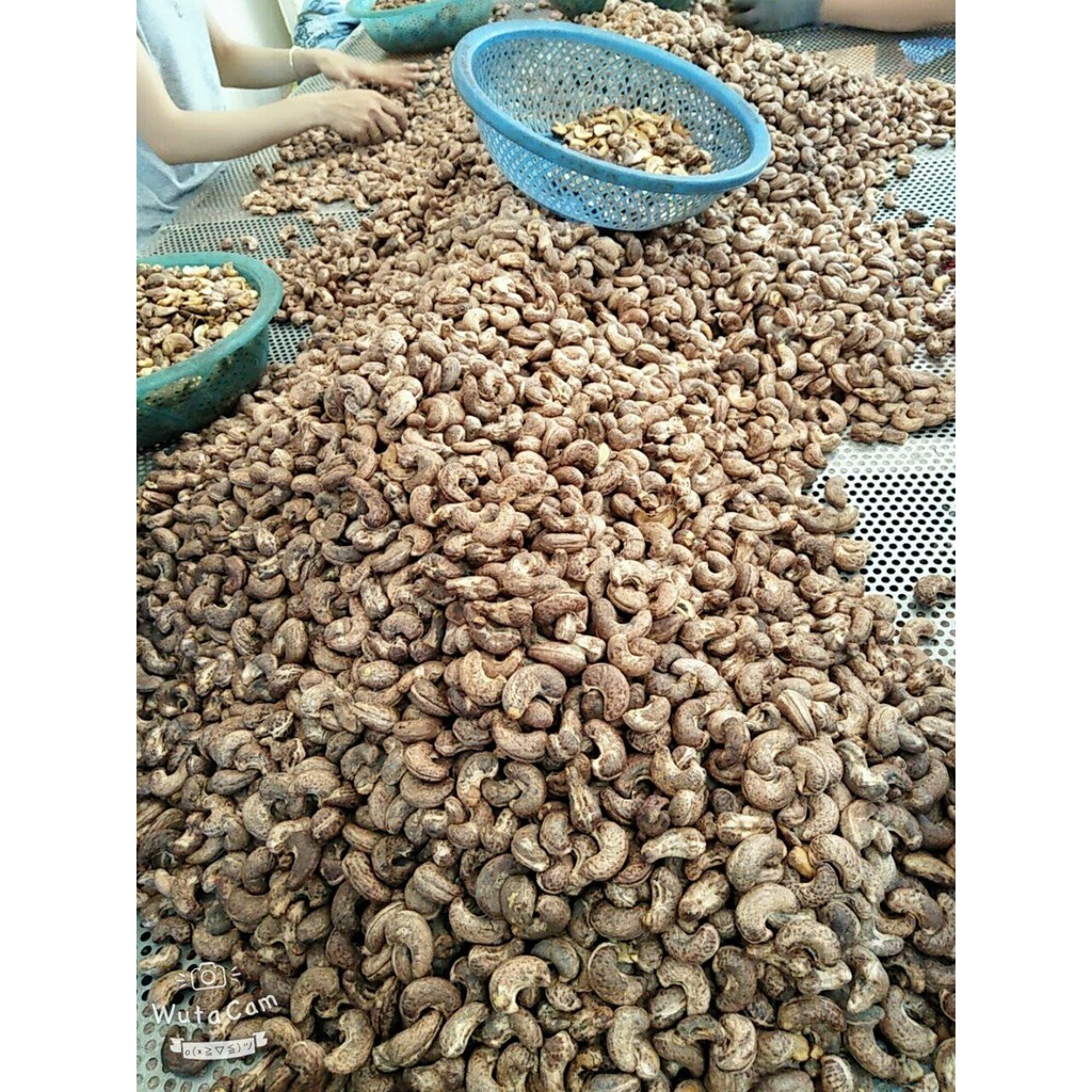 Hạt điều rang muối Bà Tư Bình Phước - hộp 500g | BigBuy360 - bigbuy360.vn